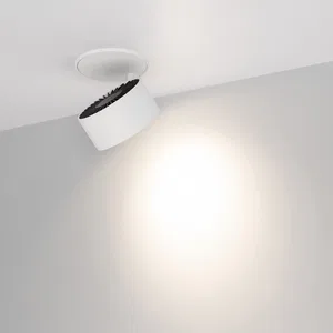 Светильник SP-PLURIO-BUILT-R77-9W Day4000 (WH-WH, 36 deg, 230V) (Arlight, IP20 Металл, 3 года)