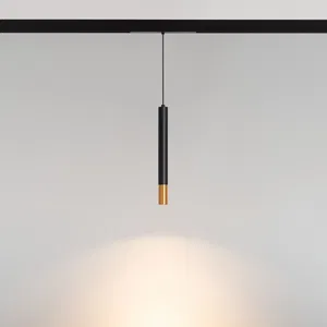 Светильник MAG-SPOT-HANG-25-R30-5W Warm3000 (BK-GD, 45deg, 24V) (Arlight, IP20 Металл, 5 лет)