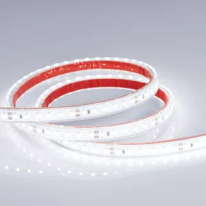 Лента RTW 2-5000PGS 24V White 2x (3528, 600 LED, LUX) (Arlight, 9.6 Вт/м, IP67)