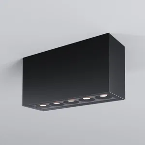 Уличный потолочный светильник Outdoor O309CL-L10GF3K