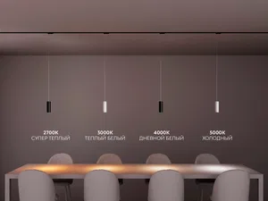 Трековый светильник HOKASU Tube Hang TR2