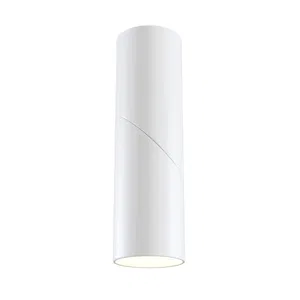 Потолочный светильник Technical C027CL-L10W