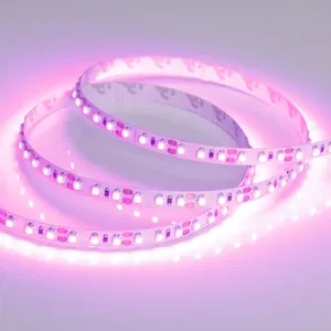 Лента RT-A120-8mm 12V Pink (9.6 W/m, IP20, 2835, 5m) (Arlight, Открытый)