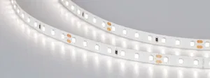 Лента RT 2-5000 24V Day4000 1.6x (2835, 490 LED, PRO) (Arlight, 10 Вт/м, IP20)