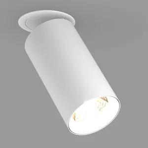 Светильник SP-POLO-BUILT-R95-25W Day4000 (WH-WH, 40 deg) (Arlight, IP20 Металл, 3 года)