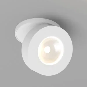Светильник LGD-MONA-BUILT-R100-12W White5000 (WH, 24 deg) (Arlight, IP40 Металл, 3 года)