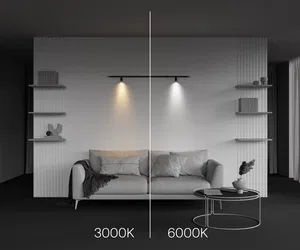 Светильник Technical C103CL-5W3-6K-B