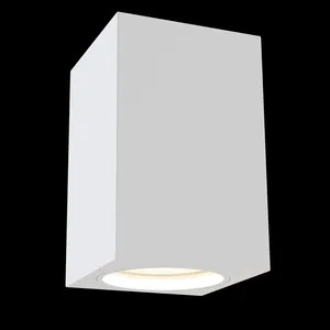 Потолочный светильник Technical C011CL-01W