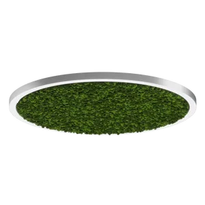 Модульный светильник HOKASU Halo Moss (кольцо со мхом)