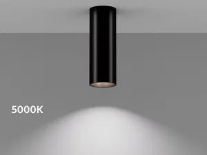 Светильник накладной HOKASU Tube (85-160/ral9003 – 40w/2798/24deg)