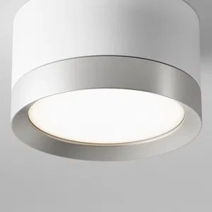 Потолочный светильник Technical C086CL-GX53-SRD-BG