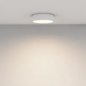 Потолочный светильник Technical C032CL-24W3K-RD-W