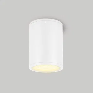 Светильник LGD-FORMA-SURFACE-R90-12W Warm3000 (WH, 44 deg, 230V) (Arlight, IP54 Металл, 3 года)
