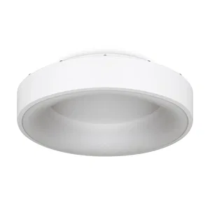 Потолочный светильник Freya FR6118CL-L45W