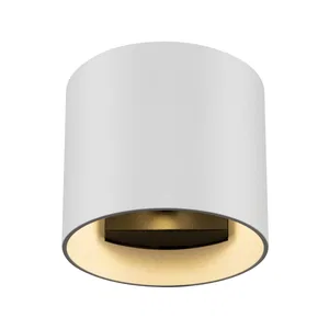 Настенный светильник (бра) Maytoni C066WL-01W