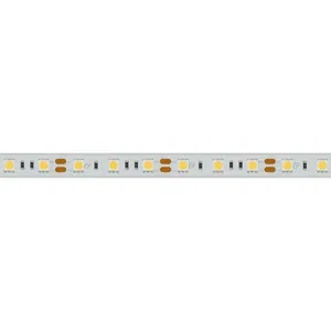 Лента герметичная RTW-PS-B60-12mm 12V Warm3000 (14.4 W/m, IP67, 5060, 5m) (Arlight, 14.4 Вт/м, IP67)