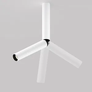 Потолочный светильник Technical C142CL-6W4K-BS