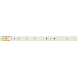 Лента RT 6-5000 24V White-MIX 2x (5060, 60 LED/m, LUX) (Arlight, Изменяемая ЦТ)