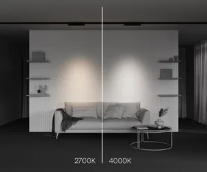 Трековый светильник Technical TR195-3-10W2.7K-M-B