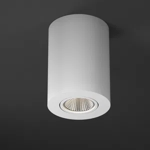 Светильник SP-FOCUS-R120-16W Warm White (Arlight, IP20 Металл, 3 года)