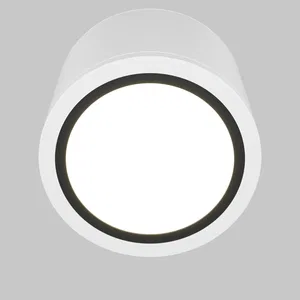 Потолочный светильник Technical C095CL-GX53-GR