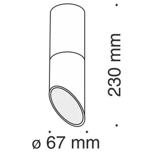 Потолочный светильник Technical C025CL-01B