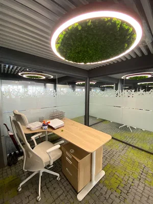 Модульный светильник HOKASU Halo Moss (кольцо со мхом)
