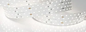Лента RT 2-2500 24V Day5000 4x2 (2835, 700 LED, CRI98) (Arlight, 30 Вт/м, IP20)