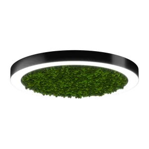 Модульный светильник HOKASU Halo Moss (кольцо со мхом)