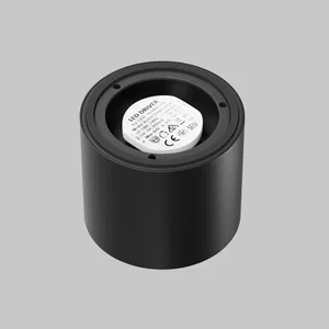 Потолочный светильник Technical C217CL-15W3K-B