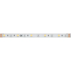 Лента RT-B60-10mm 24V RGBW-White (14.4 W/m, IP20, 5060, 5m) (Arlight, Открытый)