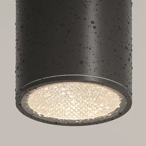 Уличный потолочный светильник Outdoor O306CL-L12GF