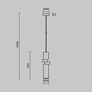 Подвесной светильник Maytoni MOD303PL-01CFL2