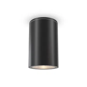 Уличный потолочный светильник Outdoor O307CL-01B