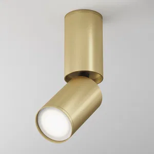 Потолочный светильник Technical C051CL-01G