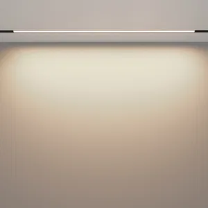 Трековый светильник Voltega VGL030-4-30W3K-WW-DS-B