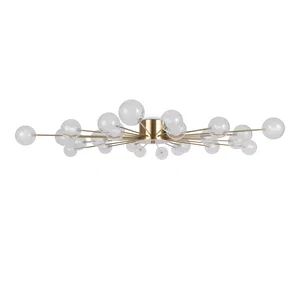 Потолочный светильник Freya FR5242CL-24BS1