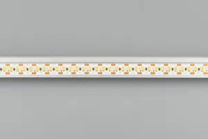 Лента RT 2-5000 24V Cx2 White6000 10mm (2835, 168 LED/m, LUX) (Arlight, 17 Вт/м, IP20)