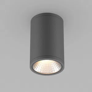 Светильник LGD-FORMA-SURFACE-R90-12W Day4000 (GR, 44 deg, 230V) (Arlight, IP54 Металл, 3 года)