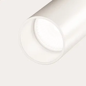 Потолочный светильник Technical C020CL-01W