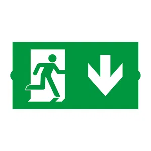 Пиктограмма EMGP-DIRECT-DOWN (Вниз) (Arlight, Пластик)