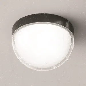 Уличный потолочный светильник Outdoor O438CL-L12GF3K
