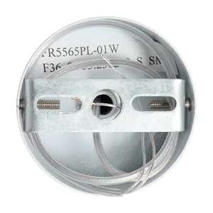 Настенный светильник (бра) Freya FR5565WL-01W