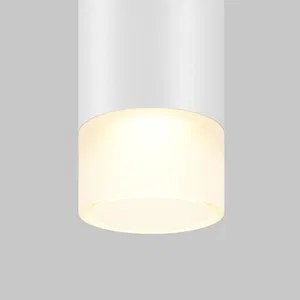 Трековый подвесной светильник Technical TR191-1-3W3K-M-BW