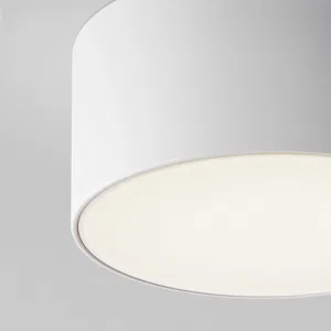 Уличный потолочный светильник Outdoor O430CL-L15W4K