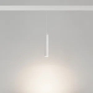 Светильник MAG-ORIENT-SPOT-HANG-R45-12W Day4000 (WH, 24 deg, 48V, DALI) (Arlight, IP20 Металл, 5 лет)