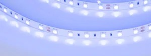 Лента RT-B60-10mm 24V Blue (14.4 W/m, IP20, 5060, 5m) (Arlight, Открытый)