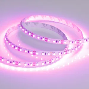 Лента RT-A120-8mm 12V Pink (9.6 W/m, IP20, 2835, 5m) (Arlight, Открытый)