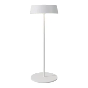 Уличный переносной аккумуляторный светильник Outdoor O540TL-L2WCCT