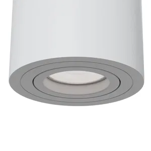 Потолочный светильник Technical C016CL-01W